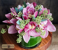 Opulent Orchids