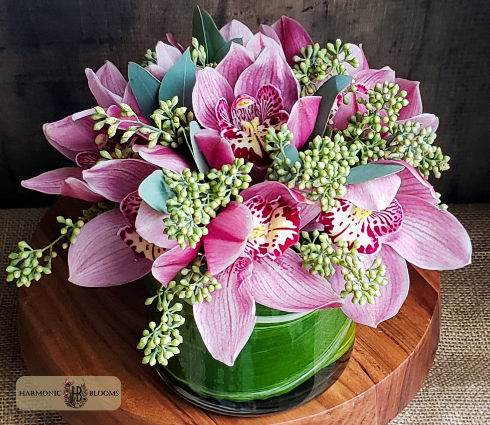 Opulent Orchids