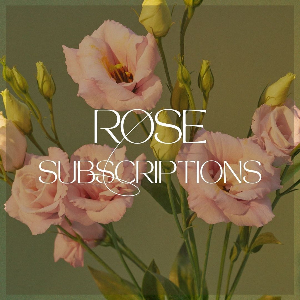 3 Month Rose Subscriptions - Get 2 Months of Free Delivery!