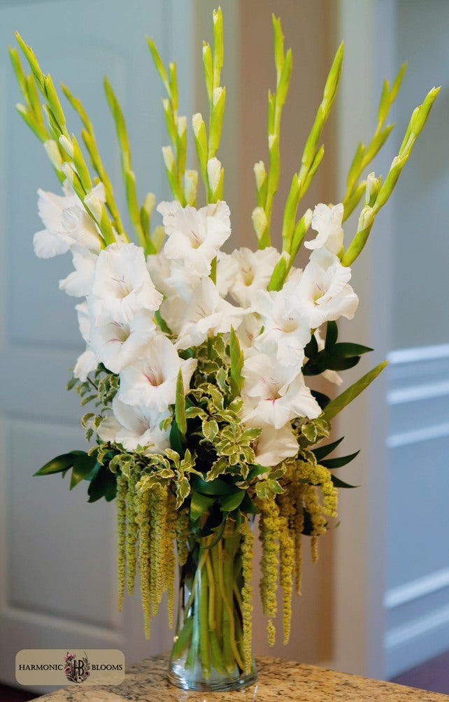 A floral arrangement of white gladiolus flowers with tall green stems and trailing yellow-green filler, displayed in a clear glass vase on a tabletop against an indoor paneled wall background designed by Harmonic Blooms in Glastonbury, CT.