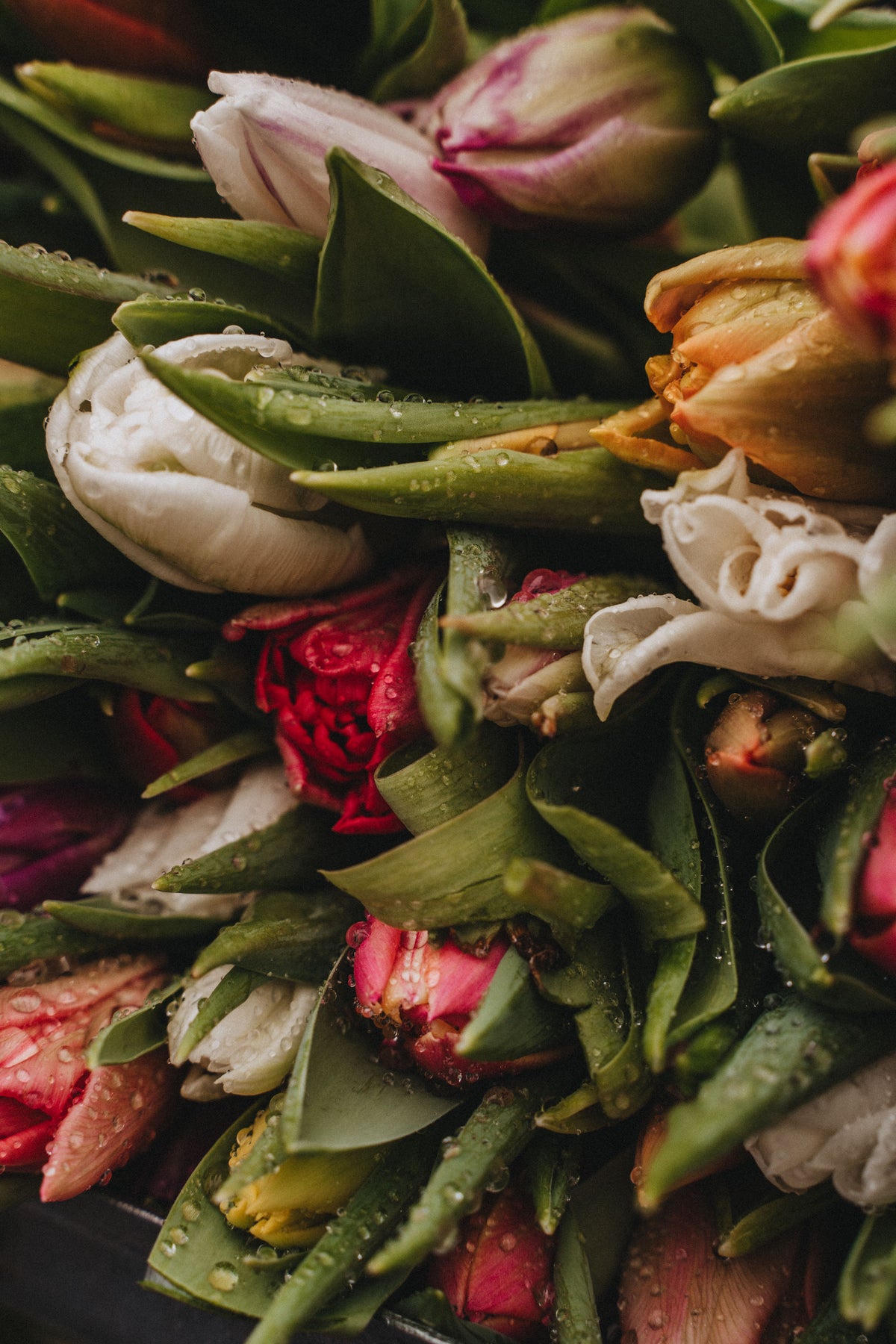 A close-up, top-down view of a dense bouquet of tulips, featuring white, pink, and red blossoms with green leaves and water droplets.