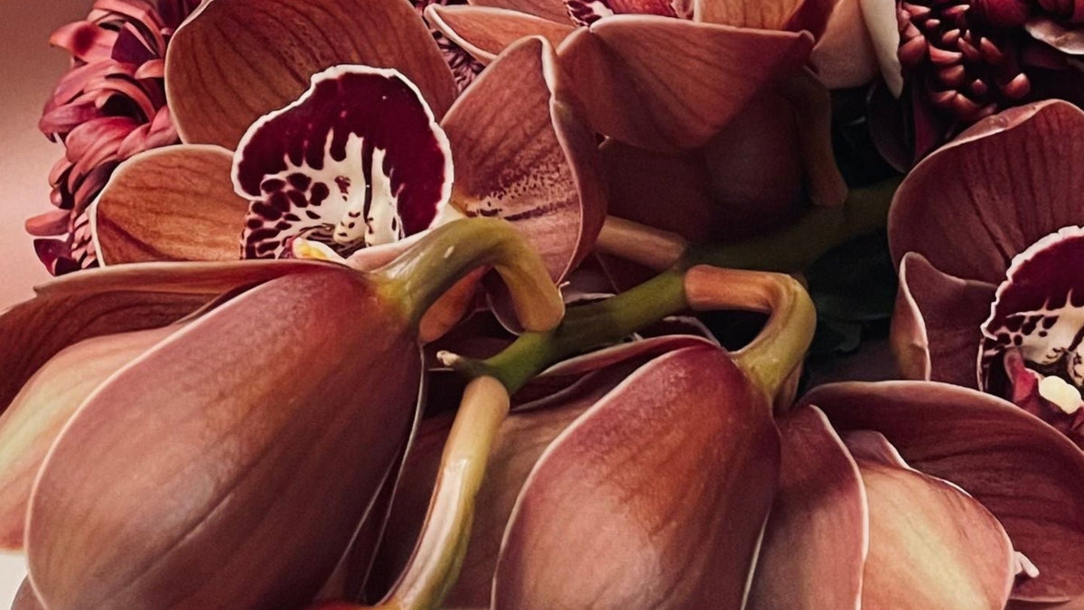 A bouquet of dried flowers featuring large burgundy orchids, blush pink roses, and dark burgundy berries, wrapped in pink and black paper, set on a table next to a vintage wall clock and red curtains.
