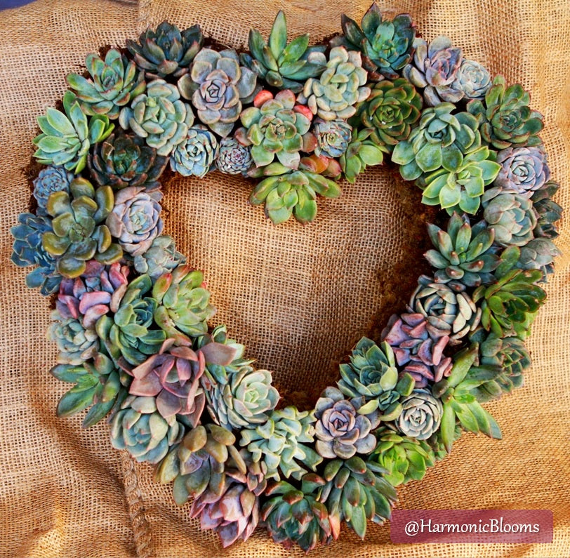 Succulent Wreath
