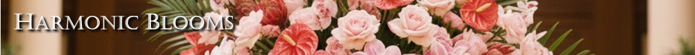 Harmonic Blooms | Glastonbury CT Florist